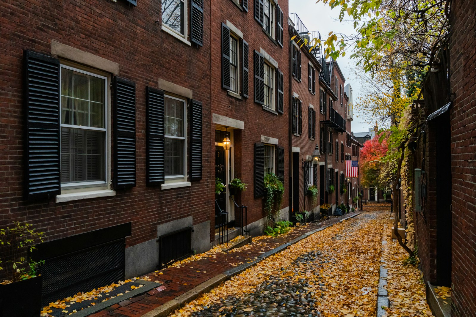 Row of Greater Boston homes along a street lined with trees